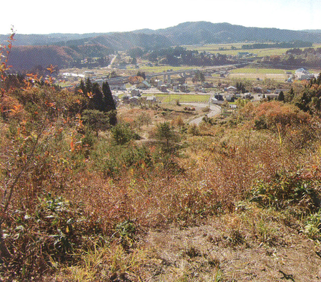 中山さんご山