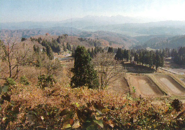 二子山・東山遊歩道