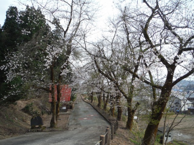 東川口農村公園?